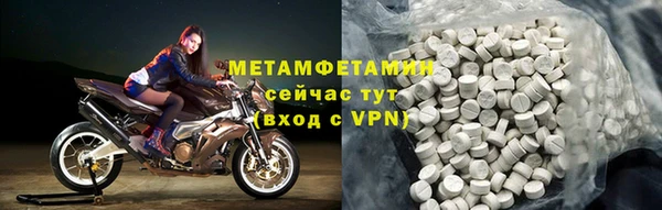 шишки Грязовец