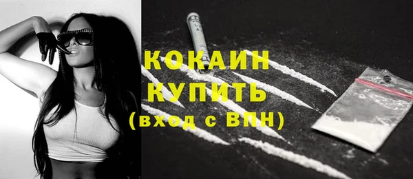 тгк Арсеньев