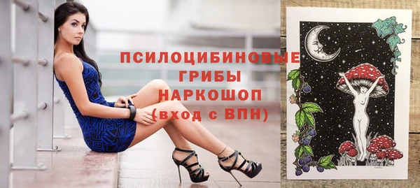 спайс Губаха