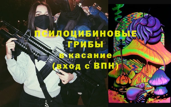 шишки Грязовец